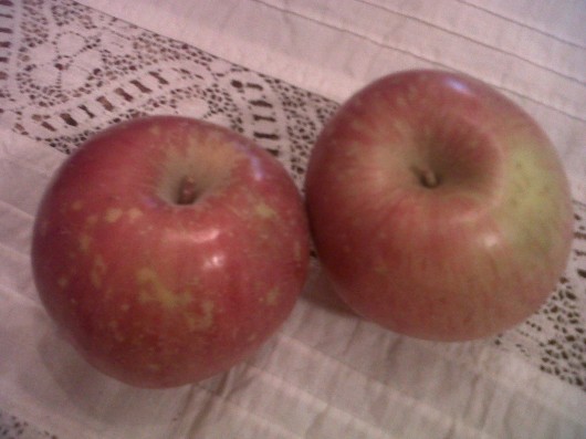 Knee High Boots or Boot the Gluten