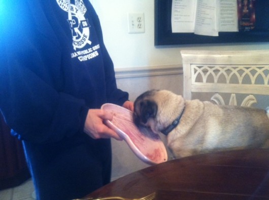 Licking the Plate Clean